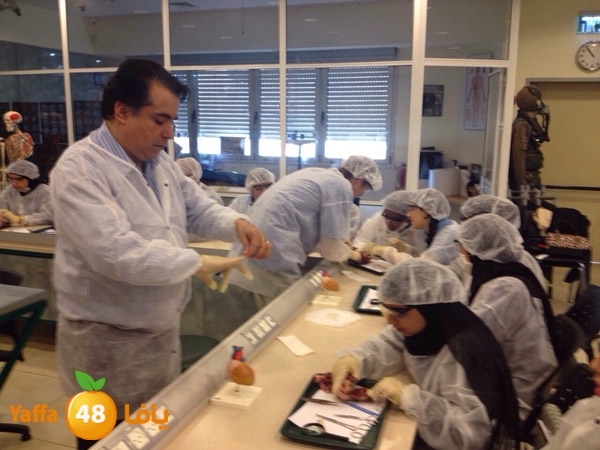 shamela teb khederas (2).jpg